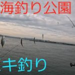 【浜名湖】夕マズメにママカリサビキ！アジの群れを狙う！