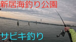 【浜名湖】夕マズメにママカリサビキ!アジの群れを狙う!