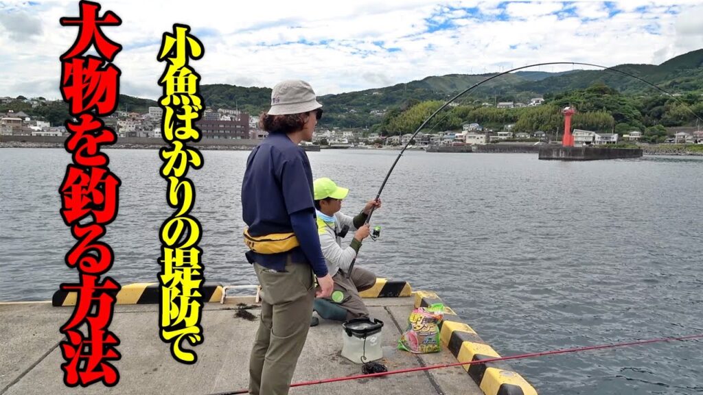 初心者に優しい釣り方シリーズ。群れる小魚を避け、堤防際の大物を狙い撃つ方法。