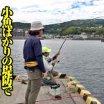 初心者に優しい釣り方シリーズ。群れる小魚を避け、堤防際の大物を狙い撃つ方法。