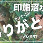 印旛に行ったら久々にバス釣りが楽しいと感じ過ぎた【印旛沼水系】