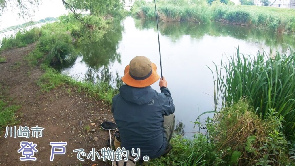 大人もハマる小物釣り♪   川崎市 登戸で小物釣り。