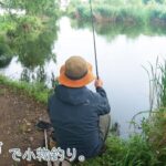 大人もハマる小物釣り♪   川崎市 登戸で小物釣り。