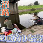 びん沼三本木でへらぶな釣り！夏の底釣りを楽しむ！