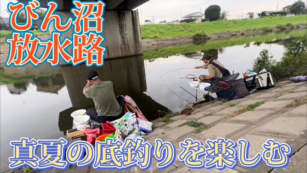 びん沼三本木でへらぶな釣り!夏の底釣りを楽しむ!