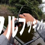 【久々の沼にて】＃バス釣り＃トップウォーター＃カヤック