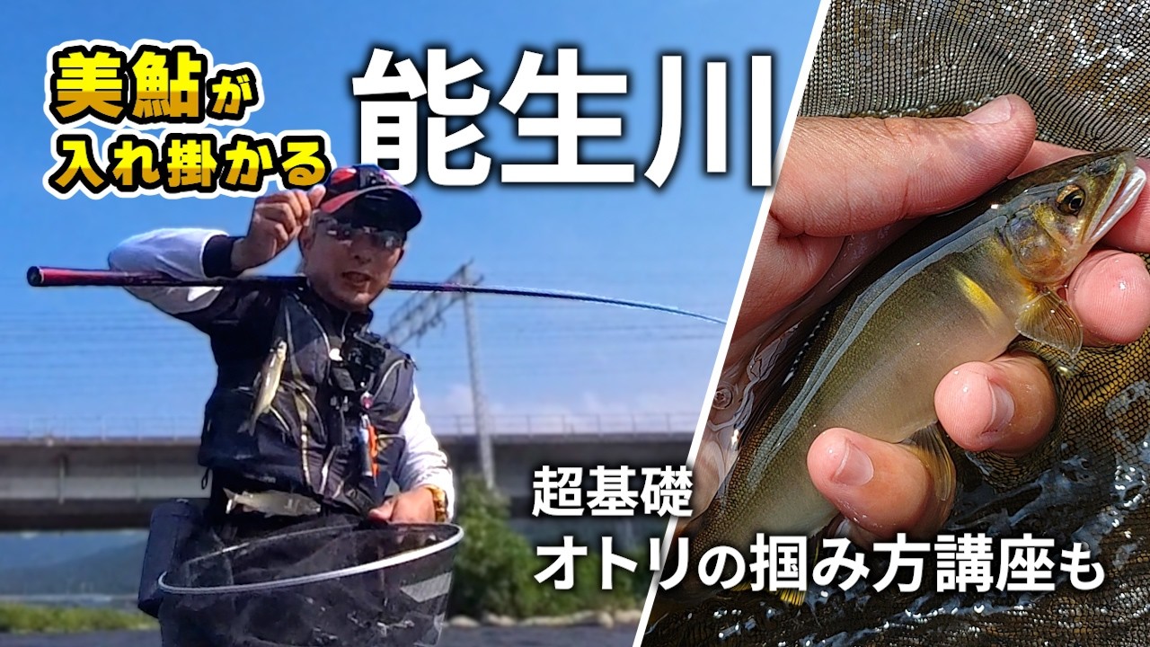 鮎釣り 釣れる川!能生川の午後の入れ掛かりを堪能!初心者オトリの掴み方講座も