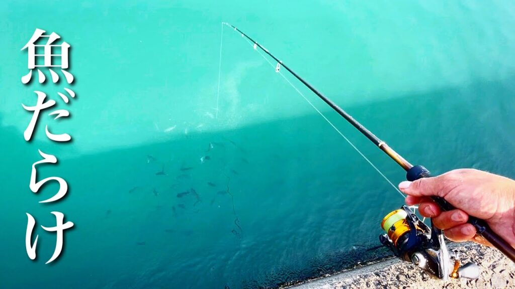 この釣りめっちゃ楽しい。