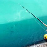 この釣りめっちゃ楽しい。