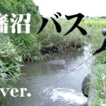 真夏の印旛沼を攻略！デカバスキャッチなるか！？ 『バスギャラリー』＜フルver＞【釣りビジョン】