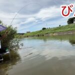 びん沼へらぶな釣り！宙はカラツン地獄！真昼の釣りはこれに決まりだ！w