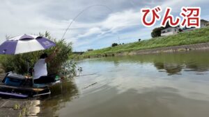 びん沼へらぶな釣り！宙はカラツン地獄！真昼の釣りはこれに決まりだ！w