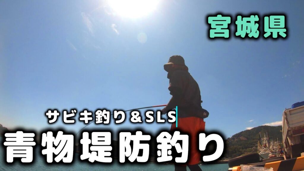 宮城県の堤防で青物釣り！噂の堤防へ釣りに行くとサビキ仕掛け釣りでイワシが爆釣！スーパーライトショアジギングで青物釣りも楽しんだ1日
