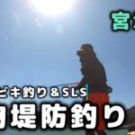 宮城県の堤防で青物釣り！噂の堤防へ釣りに行くとサビキ仕掛け釣りでイワシが爆釣！スーパーライトショアジギングで青物釣りも楽しんだ1日