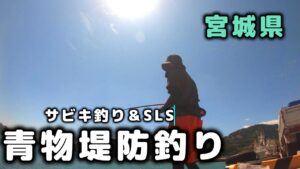 宮城県の堤防で青物釣り！噂の堤防へ釣りに行くとサビキ仕掛け釣りでイワシが爆釣！スーパーライトショアジギングで青物釣りも楽しんだ1日