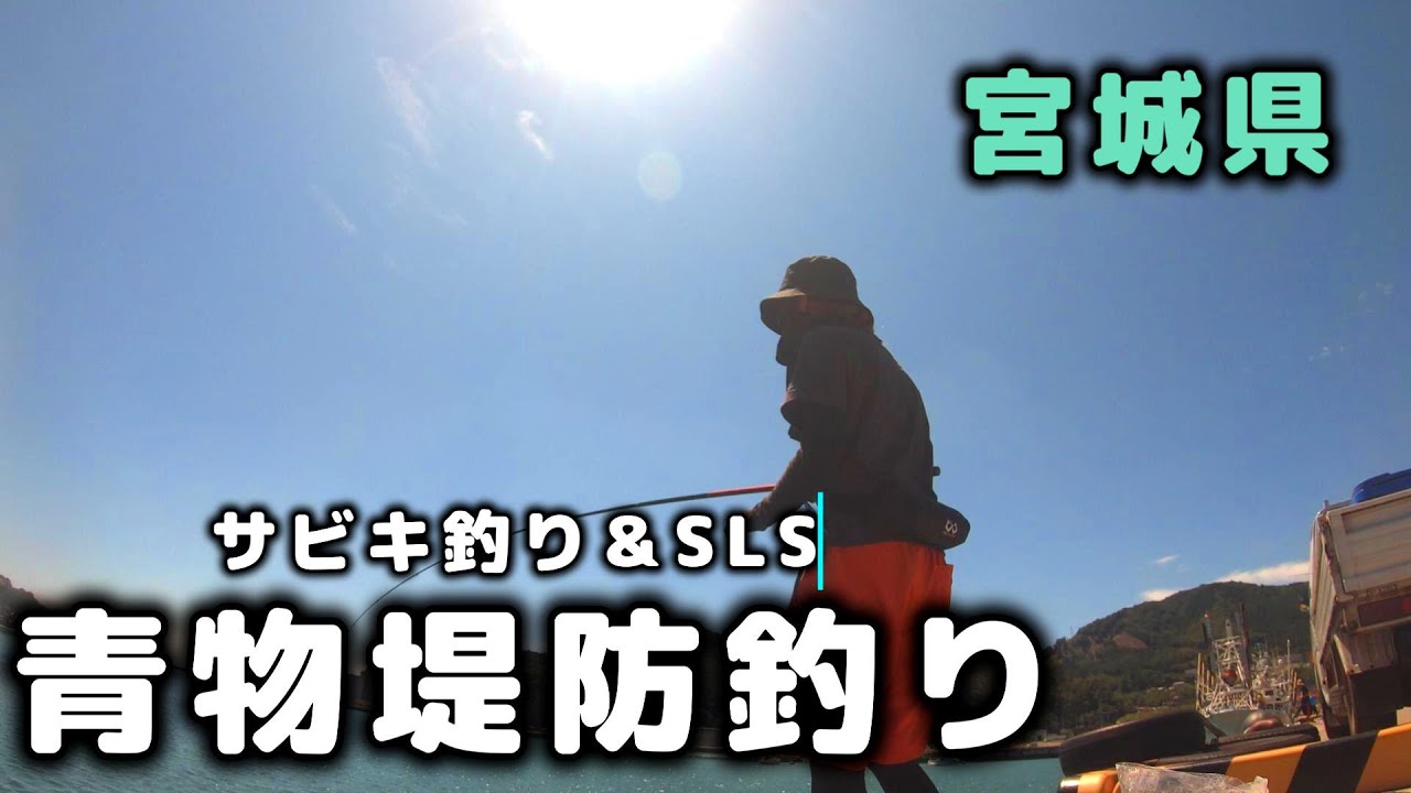 宮城県の堤防で青物釣り!噂の堤防へ釣りに行くとサビキ仕掛け釣りでイワシが爆釣!スーパーライトショアジギングで青物釣りも楽しんだ1日