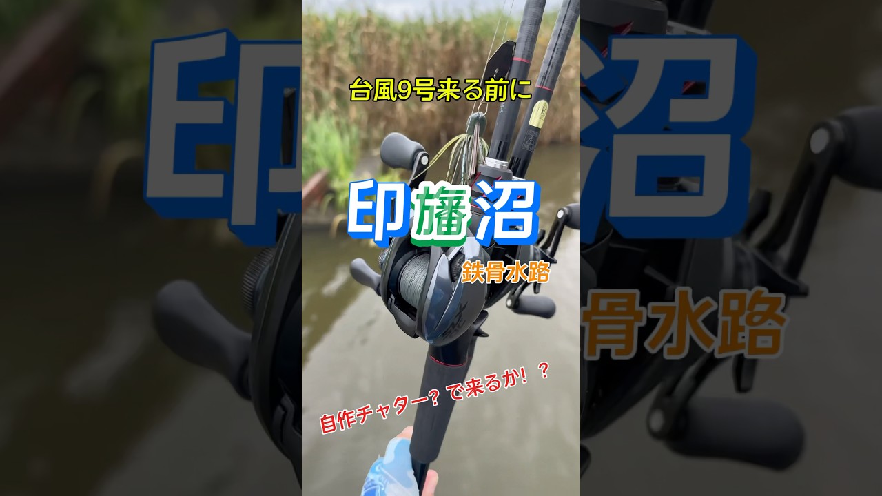 【印旛沼・鉄骨水路】台風来る前に1本！となるか！？試投ついでに！ #shorts #印旛沼バス釣り #バス釣り