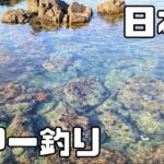 【福井】透明度100点の海で高級魚キジハタを釣りました！ロックフィッシュ&ライトショアジギング【アコウ/ガシラ/カサゴ/青物】