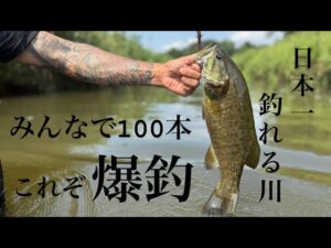 【バス釣り】日本一釣れる川で100本釣れ！【スモールマウスバス】