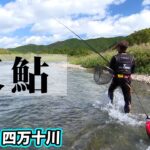 北村憲一がシーズン終盤の四万十川で尺鮎を狙う 1/2 『G WORLD 3』【釣りビジョン】