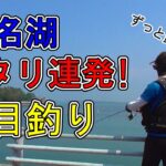 浜名湖 釣り【#139】アタリが止まらない釣りが平和的に楽しい！