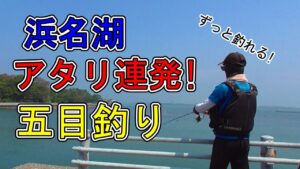 浜名湖 釣り【#139】アタリが止まらない釣りが平和的に楽しい!