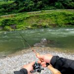 【渓流釣り】18で岐阜県を捨てた僕が、再び岐阜の川を訪れた結果 | でんでんアマゴ | ブラウントラウト | 石徹白 | 高山 | 久々野 | 郡上 | 長良川 | 小鳥川