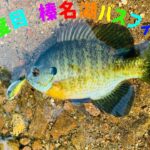 今年2度目 榛名湖バスフィッシング【#榛名湖 #フィッシング #群馬 #釣り】