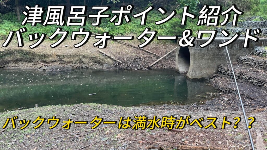 【津風呂湖】2箇所だけ調査して来た