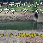 【津風呂湖】2箇所だけ調査して来た