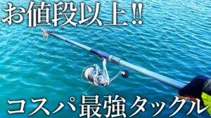 【予算2万円】ウキサビキやカゴ釣りが快適にできる！堤防釣りの汎用性に優れたタックルを紹介します［マルチマリン］