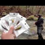 2022年渓流釣り解禁　渓流釣りルアー界隈に激震！このルアーの存在がどうなるか・・・Contyu 渓流 ルアー レビュー