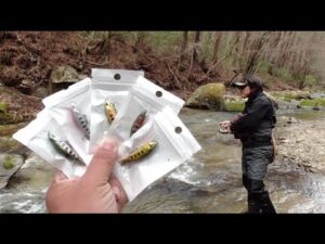 2022年渓流釣り解禁　渓流釣りルアー界隈に激震！このルアーの存在がどうなるか・・・Contyu 渓流 ルアー レビュー