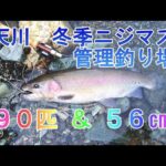 奈良県 天川 冬季ニジマス管理釣り場　フライフィッシング釣行（2023年11月）