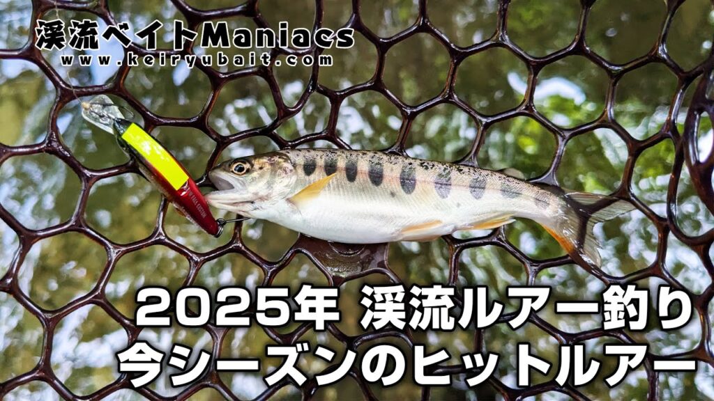 【2025年版】渓流ルアー釣り 今シーズンのヒットルアー