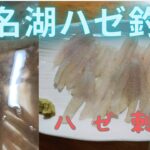 2025年【浜名湖ハゼ釣り】　爆釣そして活ハゼの刺身!!　　　　　＃浜名湖釣り　＃ハゼ釣り　＃ハゼの刺身　＃ハゼ刺し