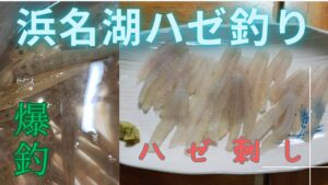 2025年【浜名湖ハゼ釣り】　爆釣そして活ハゼの刺身!!　　　　　＃浜名湖釣り　＃ハゼ釣り　＃ハゼの刺身　＃ハゼ刺し