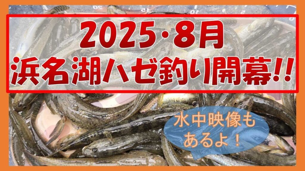 2025浜名湖ハゼ開幕!!