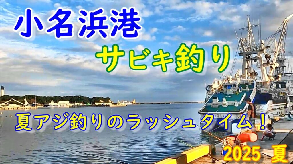 【海釣り】2025年夏いわき市小名浜港 おお！アジが釣れた！！『夏アジ釣りのラッシュタイム‼』【投げウキサビキ釣り】