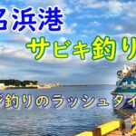 【海釣り】2025年夏いわき市小名浜港 おお！アジが釣れた！！『夏アジ釣りのラッシュタイム‼』【投げウキサビキ釣り】