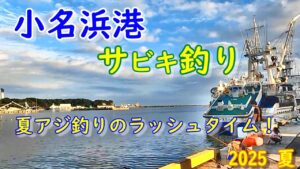 【海釣り】2025年夏いわき市小名浜港 おお!アジが釣れた!!『夏アジ釣りのラッシュタイム‼』【投げウキサビキ釣り】