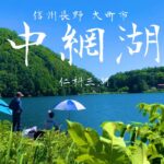 新緑の信州 中綱湖でへらぶな釣り 2025夏
