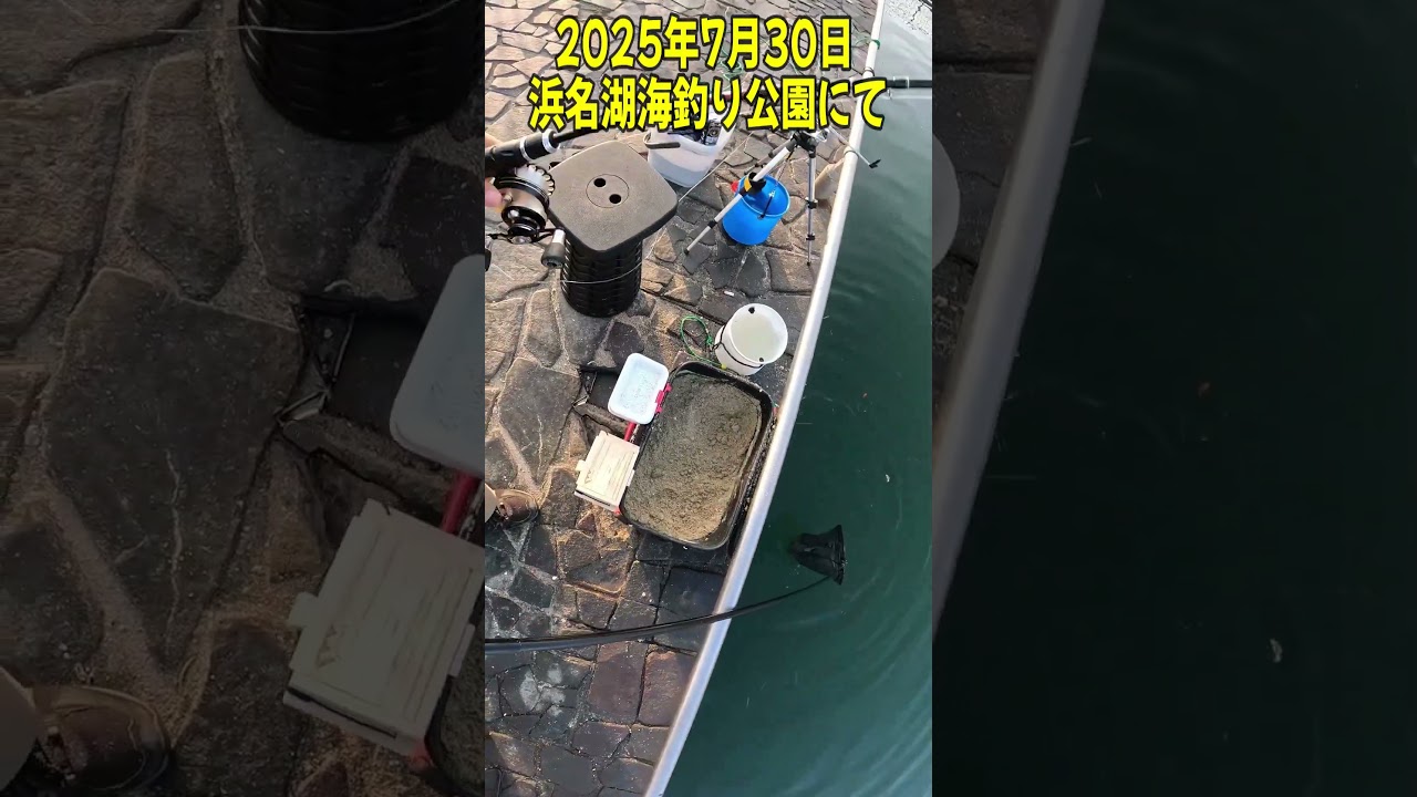 2025年 7月30日 浜名湖海釣り公園にて