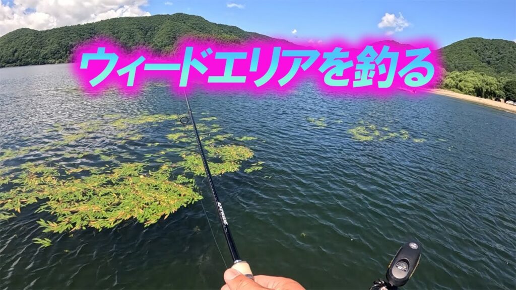【桧原湖バス釣り】2025-8-13 ウィードエリアを釣る！下町メンバージャッカルさんと釣りです！