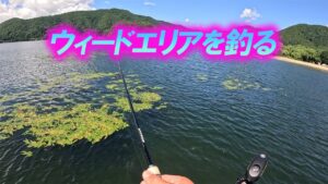 【桧原湖バス釣り】2025-8-13 ウィードエリアを釣る！下町メンバージャッカルさんと釣りです！
