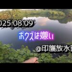 2025.08.09 @印旛放水路