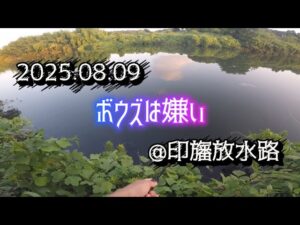 2025.08.09 @印旛放水路