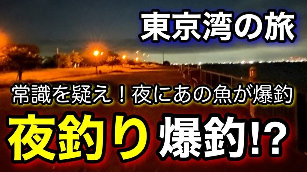 【真夏のこの釣りは快適】知らなかった！あの魚が夜釣りで爆釣！2025.7