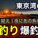 【真夏のこの釣りは快適】知らなかった！あの魚が夜釣りで爆釣！2025.7