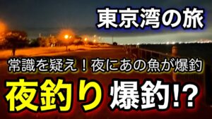 【真夏のこの釣りは快適】知らなかった!あの魚が夜釣りで爆釣!2025.7